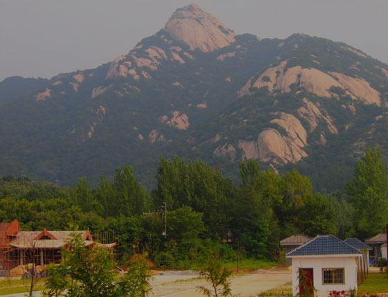 鼎点注册景区解决方案 