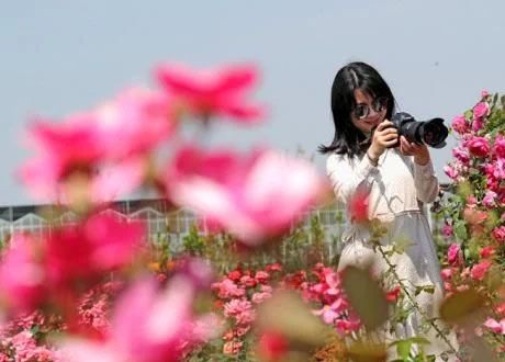 20200924971612.jpg t01d1454395510d8731.webp.jpg