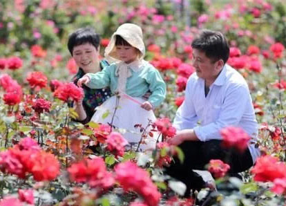 20200924596479.jpg t0169197a3a6c47dc85.webp.jpg