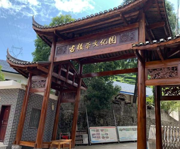 邵阳古楼茶文化园与鼎点注册达成合作