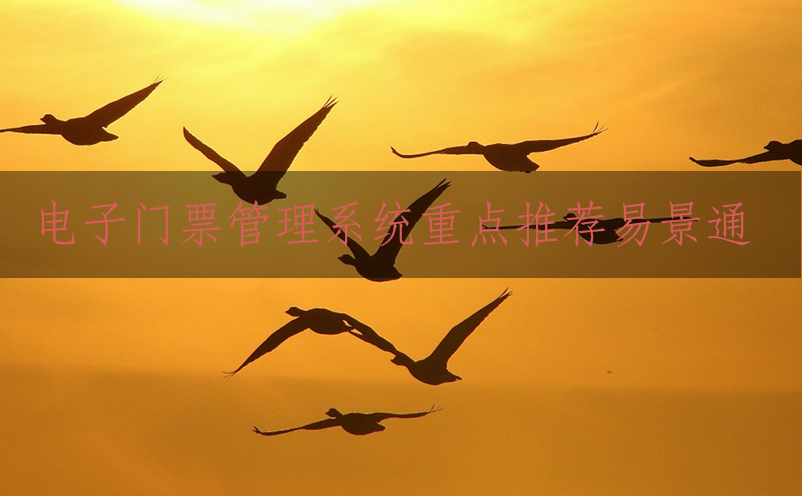 电子门票管理系统重点推荐鼎点注册