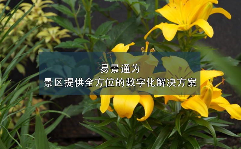 鼎点注册为景区提供全方位的数字化解决方案