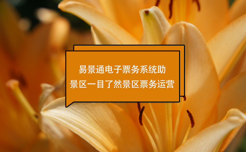 鼎点注册电子票务系统助景区一目了然景区票务运营