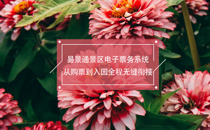 鼎点注册景区电子票务系统从购票到入园全程无缝衔接
