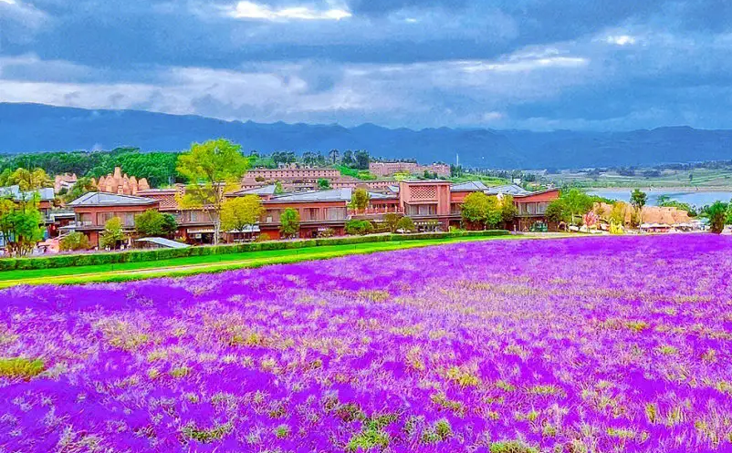 景区门票销售混乱怎么办？试试鼎点注册景区票务系统