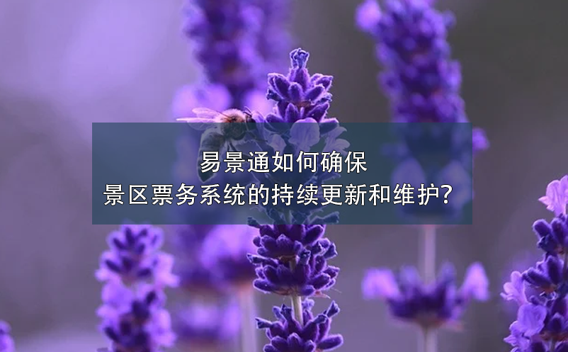 鼎点注册如何确保景区票务系统的持续更新和维护？