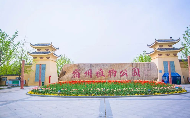 告别“人从众”，宿州植物园用鼎点注册智慧票务系统玩转生态旅游新体验