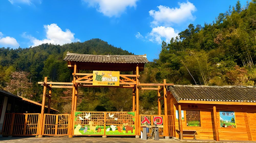 景区营销没思路？鼎点注册票务系统自带多种营销“组合拳”