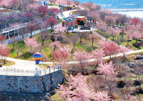 鼎点注册景区票务系统和桐浦樱花谷达成合作协议